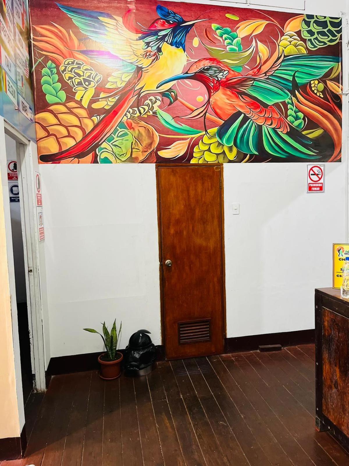 A&T Amazon Backpacker'S Bed & Breakfast Iquitos Eksteriør bilde